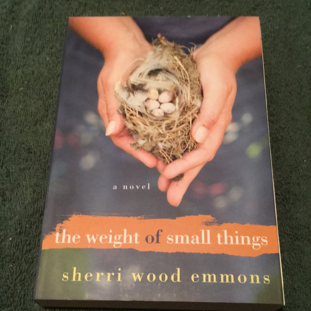 “The Weight of Small Things” Paperback